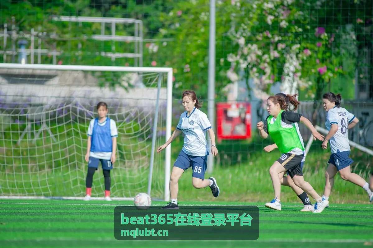 beat365在线登录平台 账号验证与操作环境核对